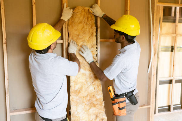 Best Professional Insulation Contractor  in Tubac, AZ