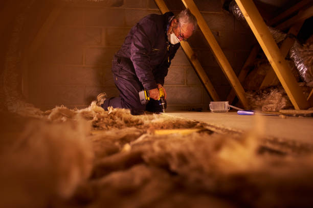 Best Insulation Repair Services  in Tubac, AZ